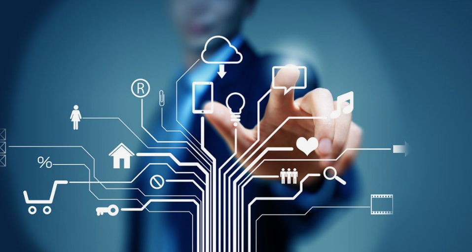 IT management support services